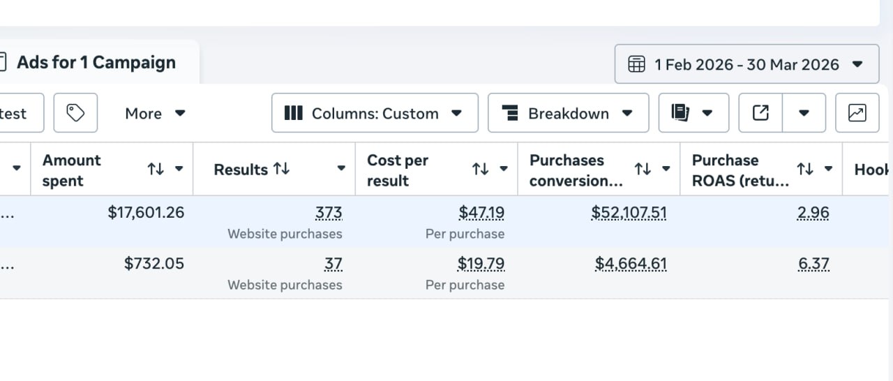 Meta Ads Manager screenshot showing campaign results